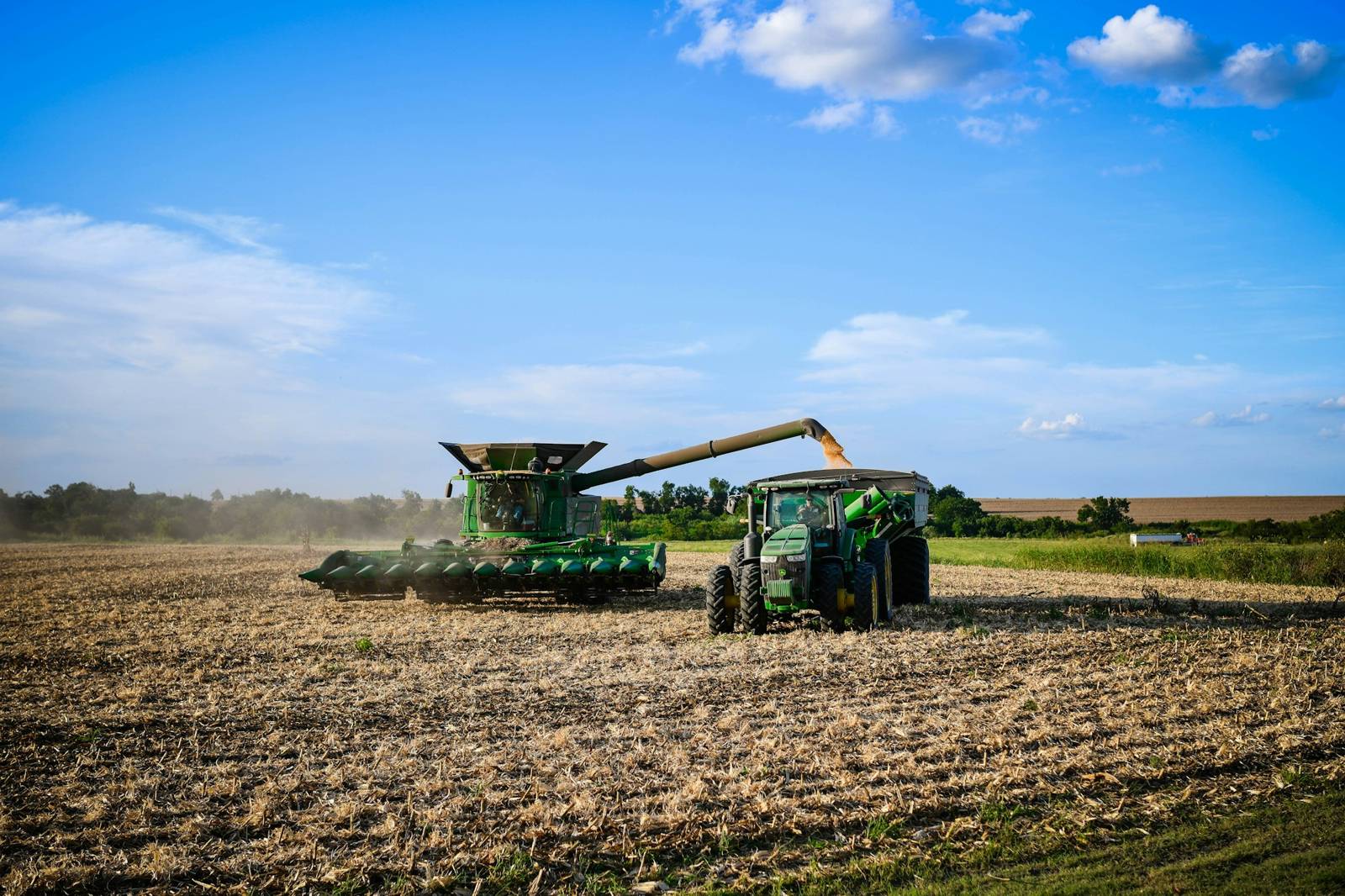 Combine harvesting a grain field near Bartlett, Texas