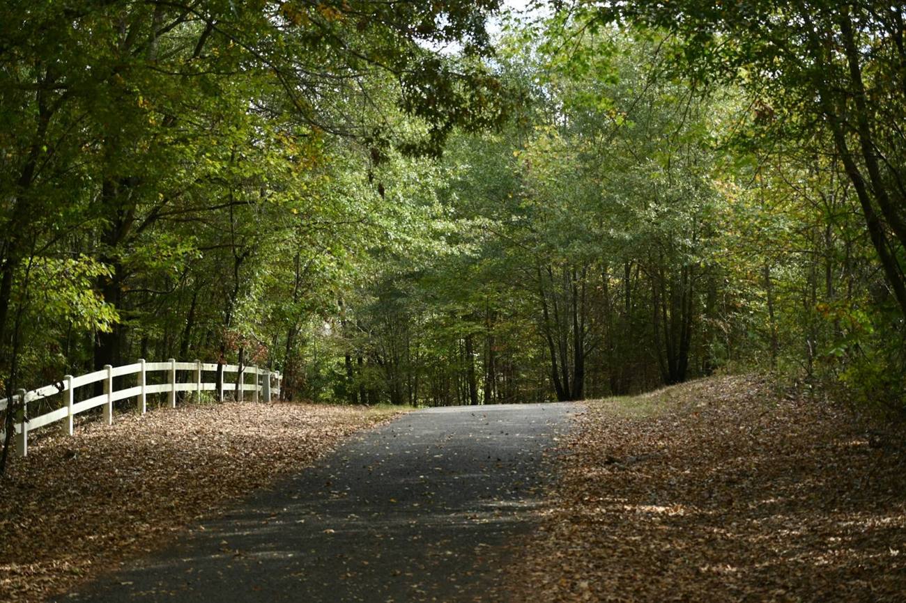 Country road past a white rail fence near Scroggins, Texas