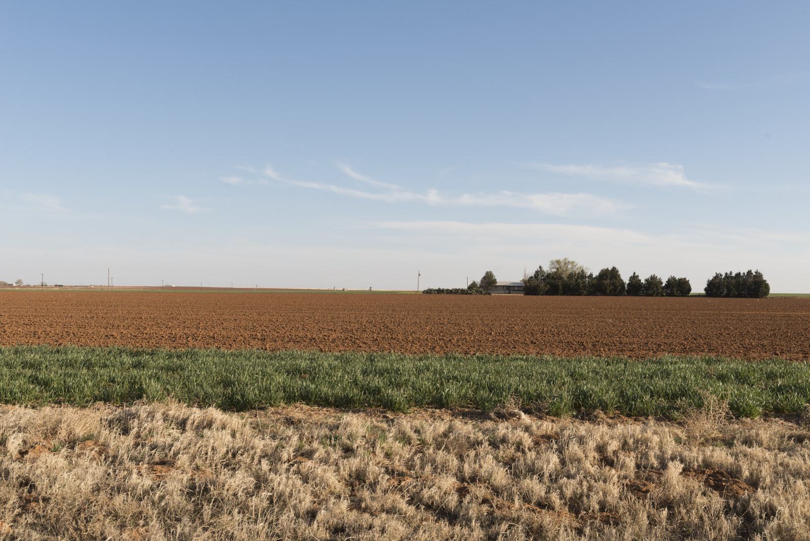 Farmland west of Lamesa in Dawson County, Texas