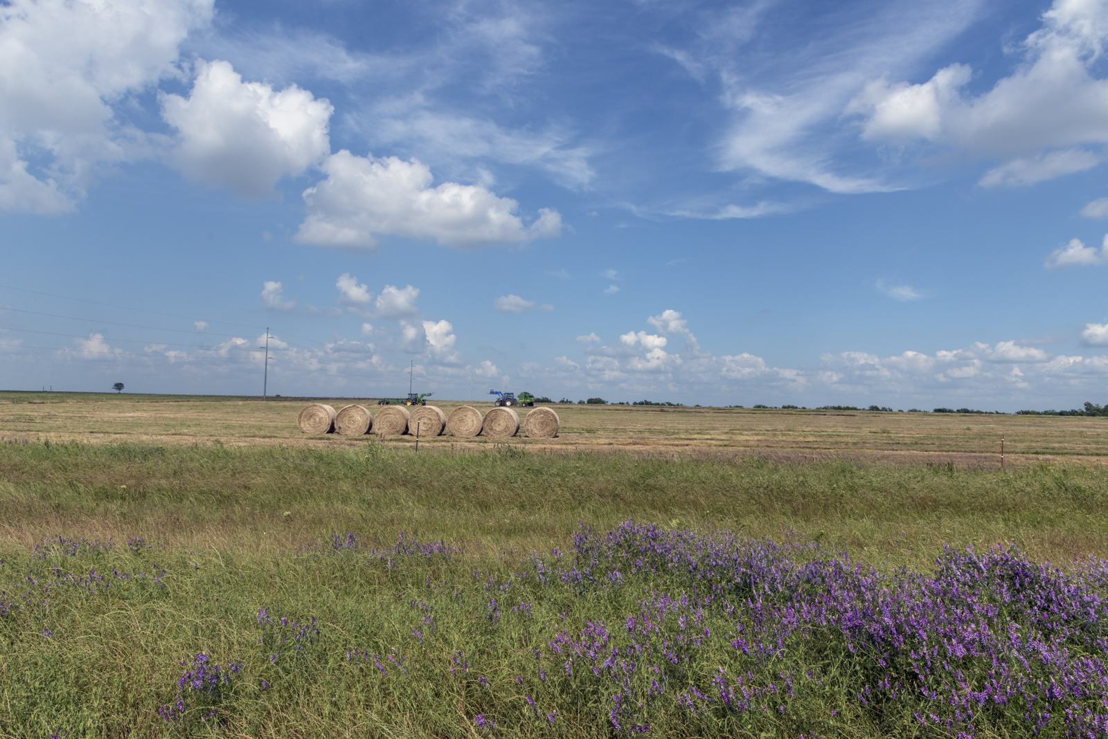 Wildflowers and hay bales northeast of Commerce in Hunt County, Texas