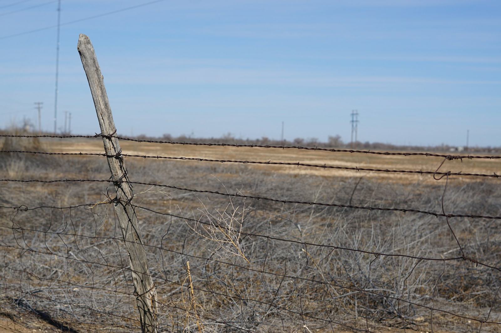 Old fence post and barbed wire in a field near Lubbock, Texas