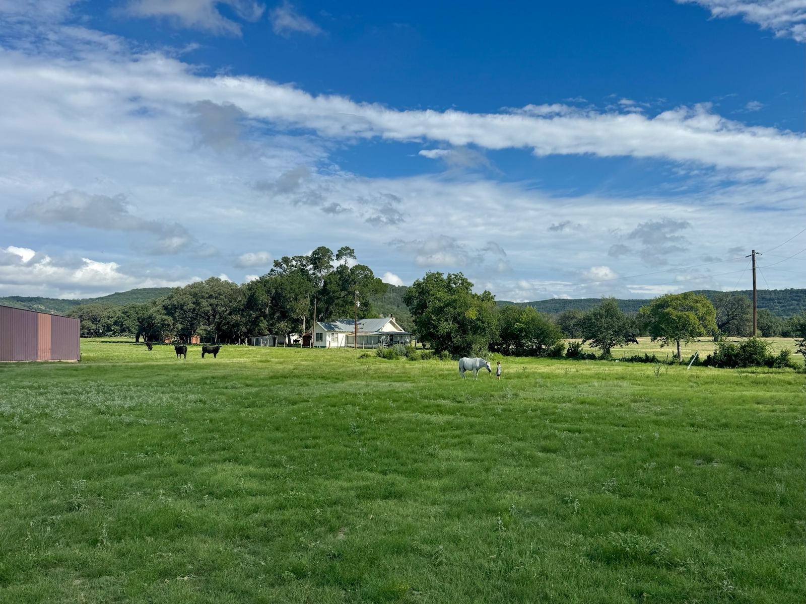 Farmhouse and pasture in the Hill Country near Medina, Texas